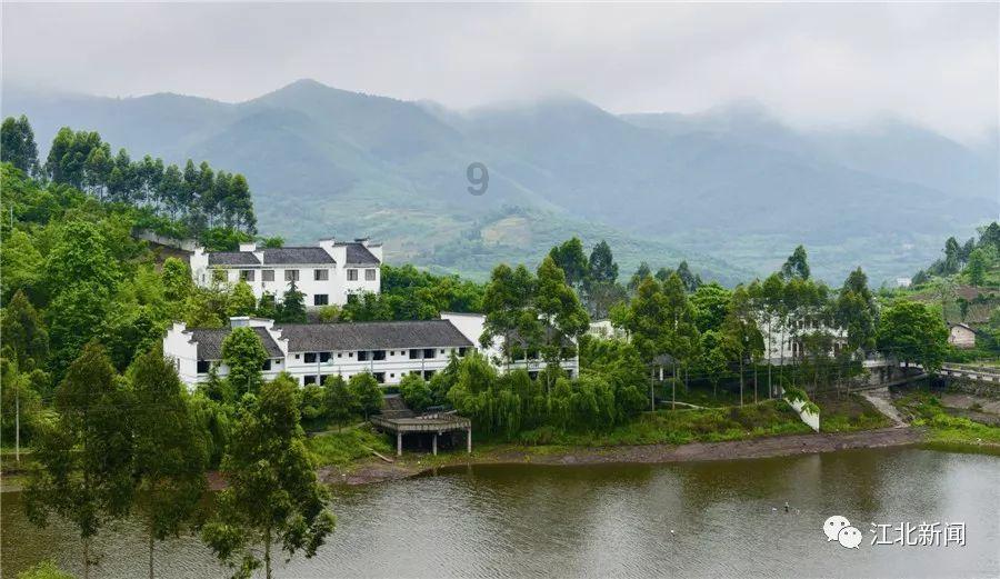 红树林逃生