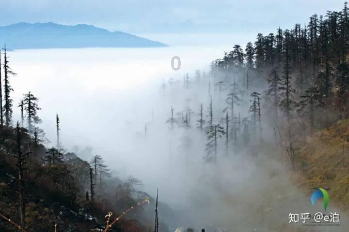 小学生期末考前一晚呆在房间，父母以为她在复习，其实在对着课本鞠躬！