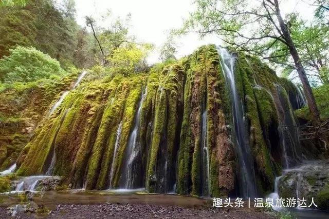 拯救蝙蝠家族