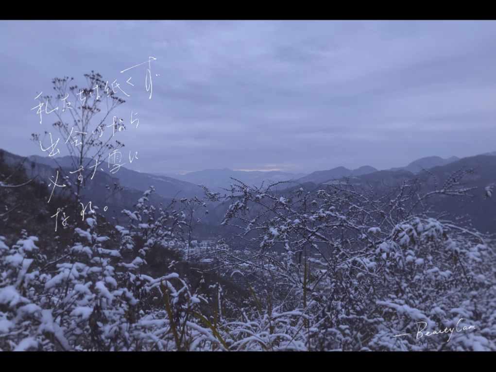 春雨直播app