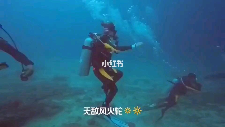 逗小猴开心系列187
