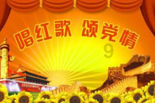 动物帮帮忙保卫家园