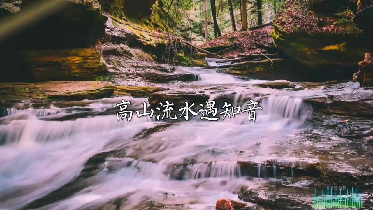 幻想森林逃生