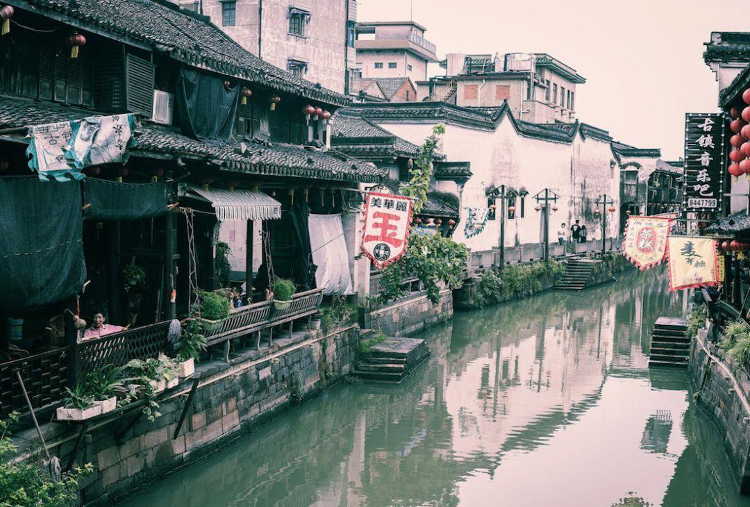 九棵树“未来大师”：3年60场，吸引逾万名爱乐人